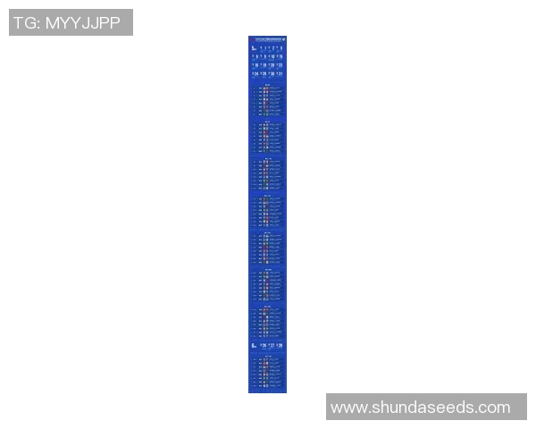 全面解析各大联赛最新动态与精彩赛事回顾